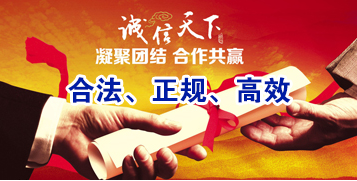 洛扎要债公司